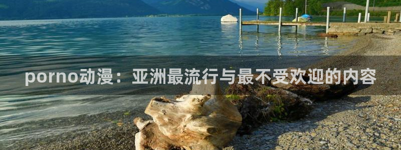 动漫天堂从哪下载安装：porno动漫：亚洲最流行与最不受欢迎的内容