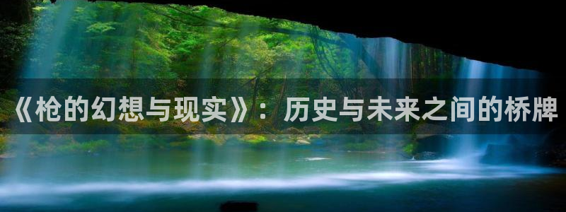 内地动漫天堂：《枪的幻想与现实》：历史与未来之间的桥牌