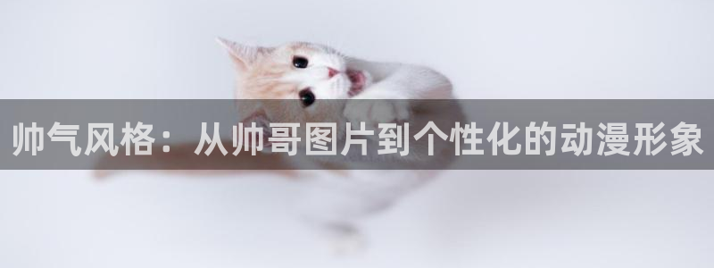 秋叶原动漫天堂：帅气风格：从帅哥图片到个性化的动漫形象