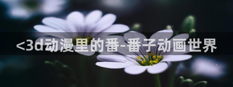coco动漫天堂：<3d动漫里的番-番子动画世界