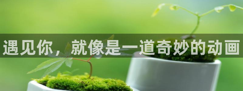 3d动漫天堂网：遇见你，就像是一道奇妙的动画