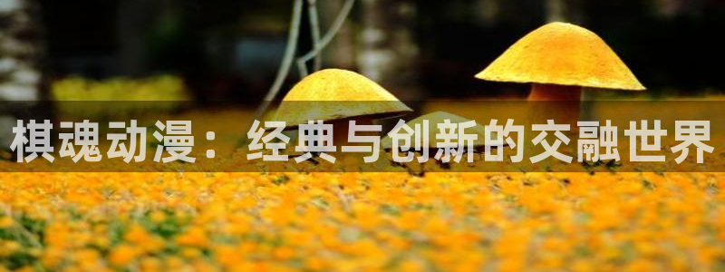 亚洲成人动漫天堂：棋魂动漫：经典与创新的交融世界