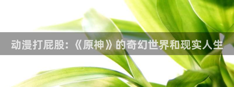 动漫天堂cc：动漫打屁股: 《原神》的奇幻世界和现实人生