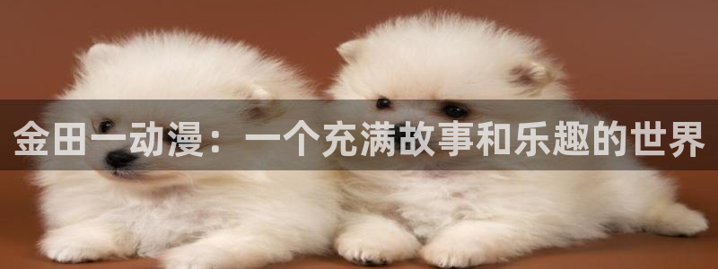 动漫天堂网站：金田一动漫：一个充满故事和乐趣的世界