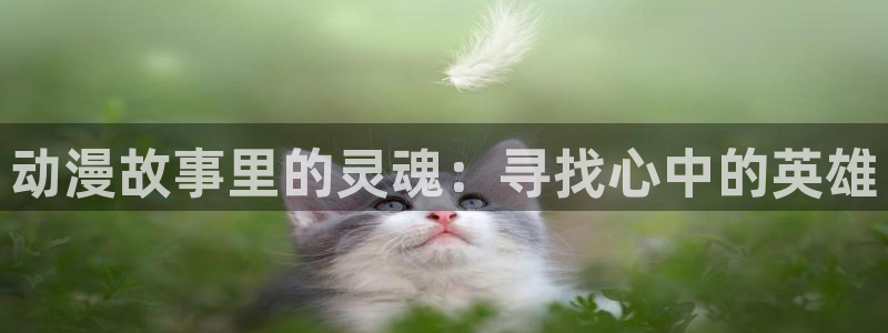 动漫天堂18：动漫故事里的灵魂：寻找心中的英雄