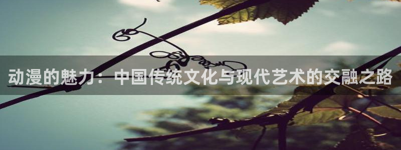 黄动漫天堂：动漫的魅力：中国传统文化与现代艺术的交融之路