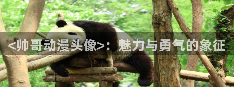 acg动漫天堂：<帅哥动漫头像>：魅力与勇气的象征