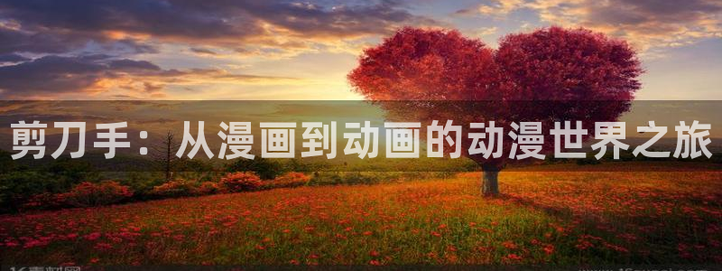 动漫天堂免费版：剪刀手：从漫画到动画的动漫世界之旅