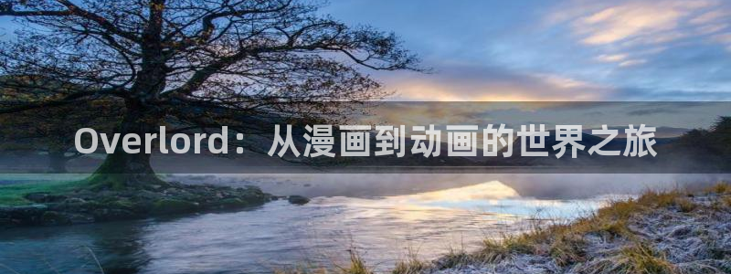 免费a漫动漫天堂.：Overlord：从漫画到动画的世界之旅