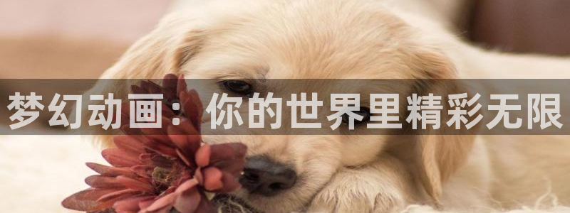 番剧推荐动漫天堂.：梦幻动画：你的世界里精彩无限