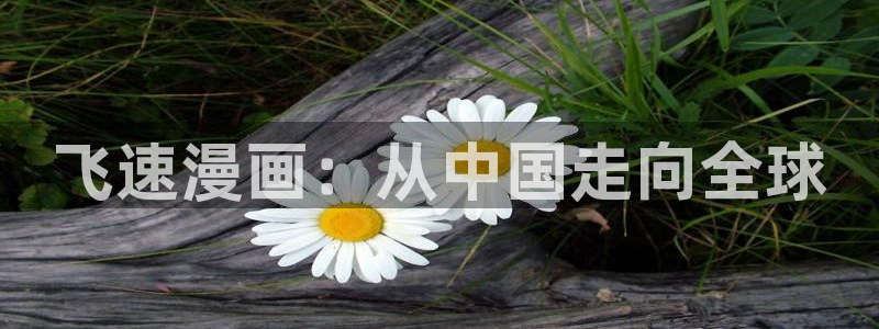 av动漫天堂网：飞速漫画：从中国走向全球