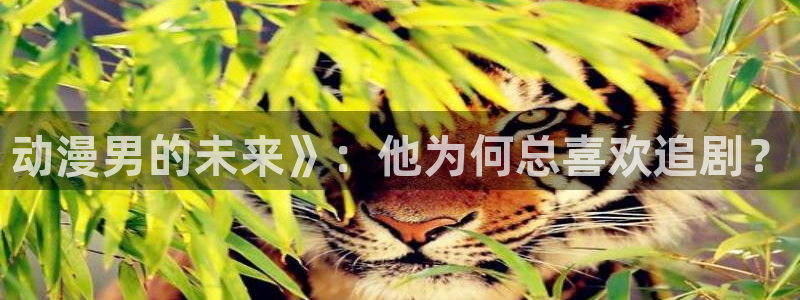 动漫天堂cc：动漫男的未来》：他为何总喜欢追剧？