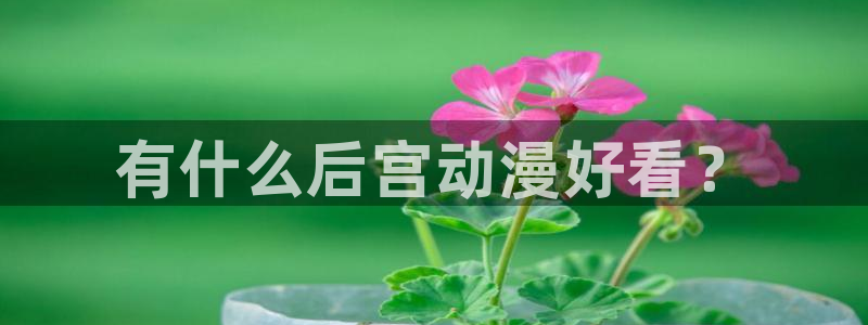 下载动漫天堂：有什么后宫动漫好看？