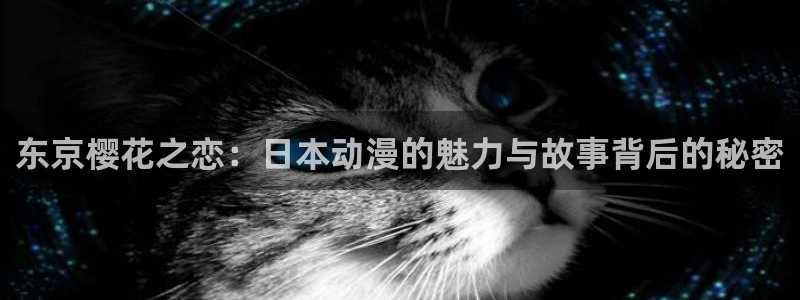 3d动漫天堂：东京樱花之恋：日本动漫的魅力与故事背后的秘密