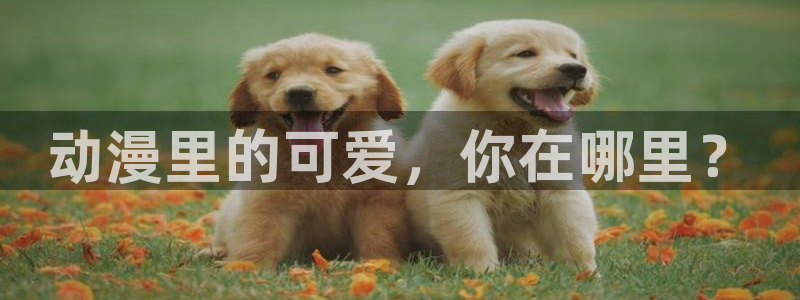 动漫天堂网址：动漫里的可爱，你在哪里？