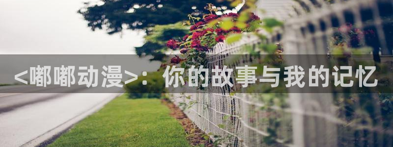 下载动漫天堂：<嘟嘟动漫>：你的故事与我的记忆